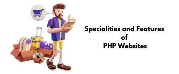 various phases of php website development in india