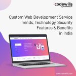 custom web development services in india trends technology security features benefits
